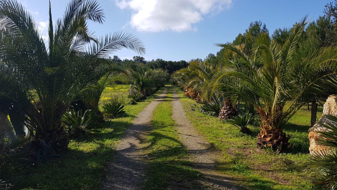 La Luce Del Sinis Hotel Riola Sardo Esterno foto